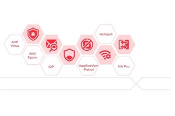 ZyXEL LIC-BUN for USG20(W)-VPN/USGFLEX50, 1YR Content Filter/SecuReporter Premium/SPS License